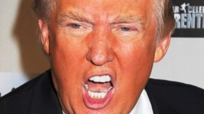 Trump angry America has one President at a time so zip it PE Trump