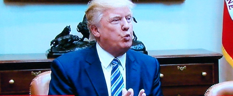 Donald Trump pucker Roger Stones long time friendship and connection to Donald Trump